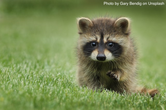 决策和解决问题